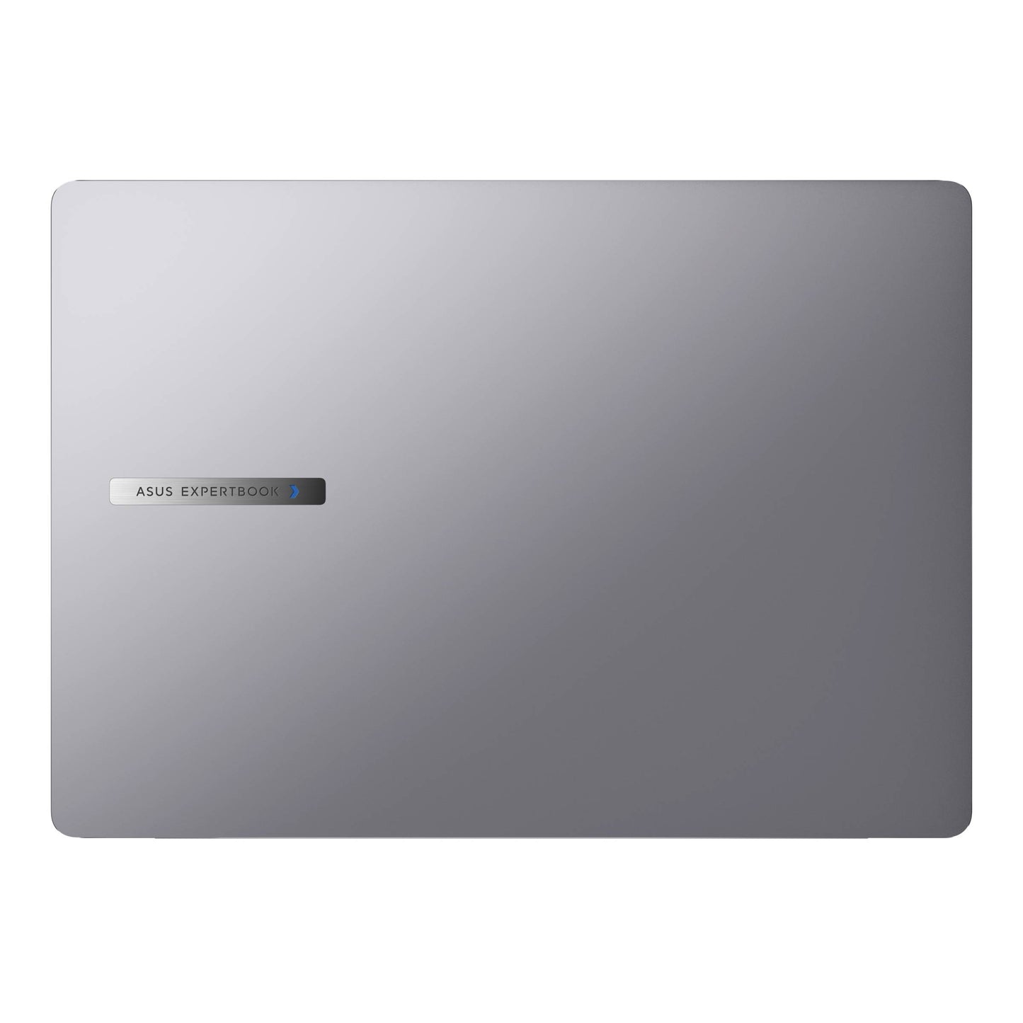 Laptops Asus Business P5405CSA-U732G1T-P1