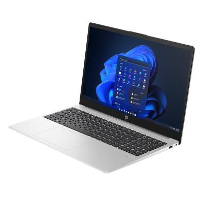 Laptops HP HP 250 G10
