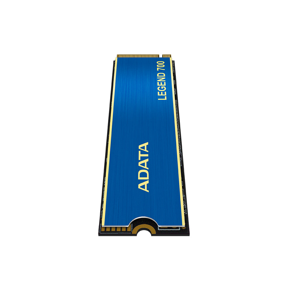 Almacenamiento ADATA ALEG-700-256GCS