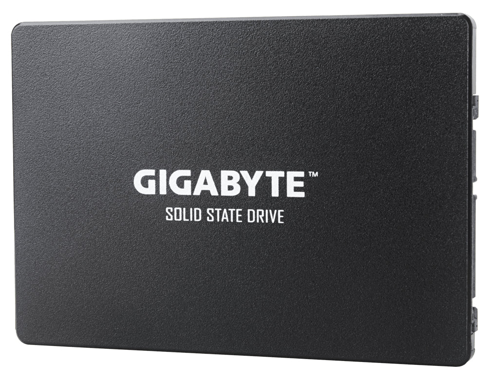 SSD GIGABYTE GP-GSTFS31100TNTD