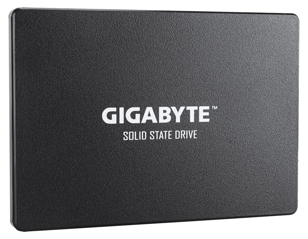 SSD GIGABYTE GP-GSTFS31100TNTD