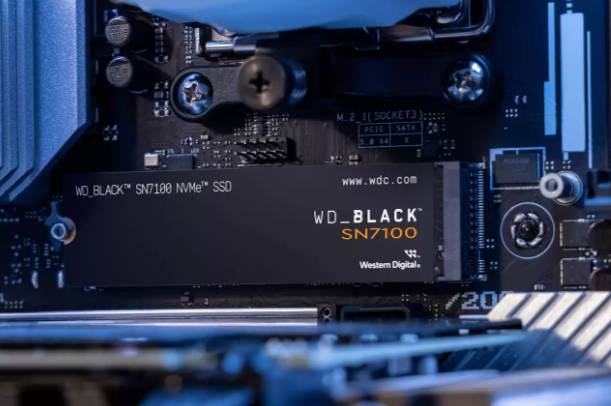 SSD SANDISK WDS100T4X0E