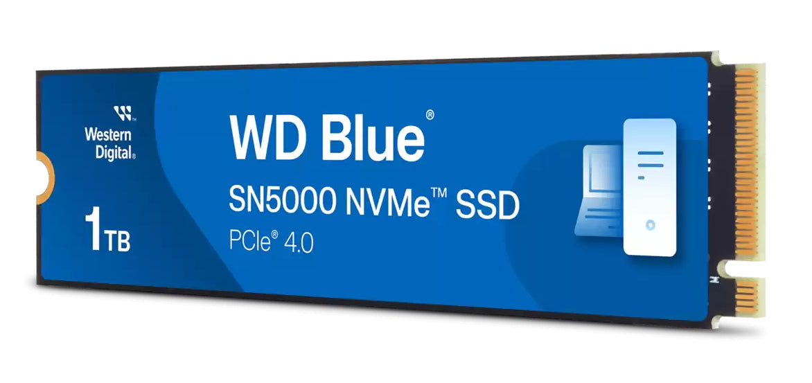 SSD SANDISK WDS100T4B0E