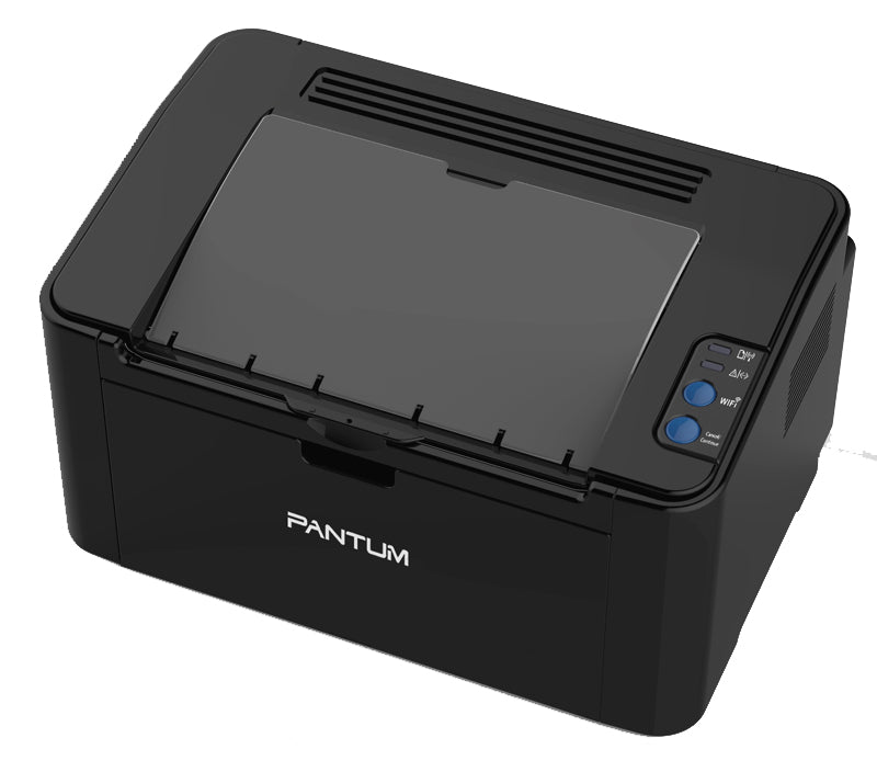Impresora Pantum P2500W