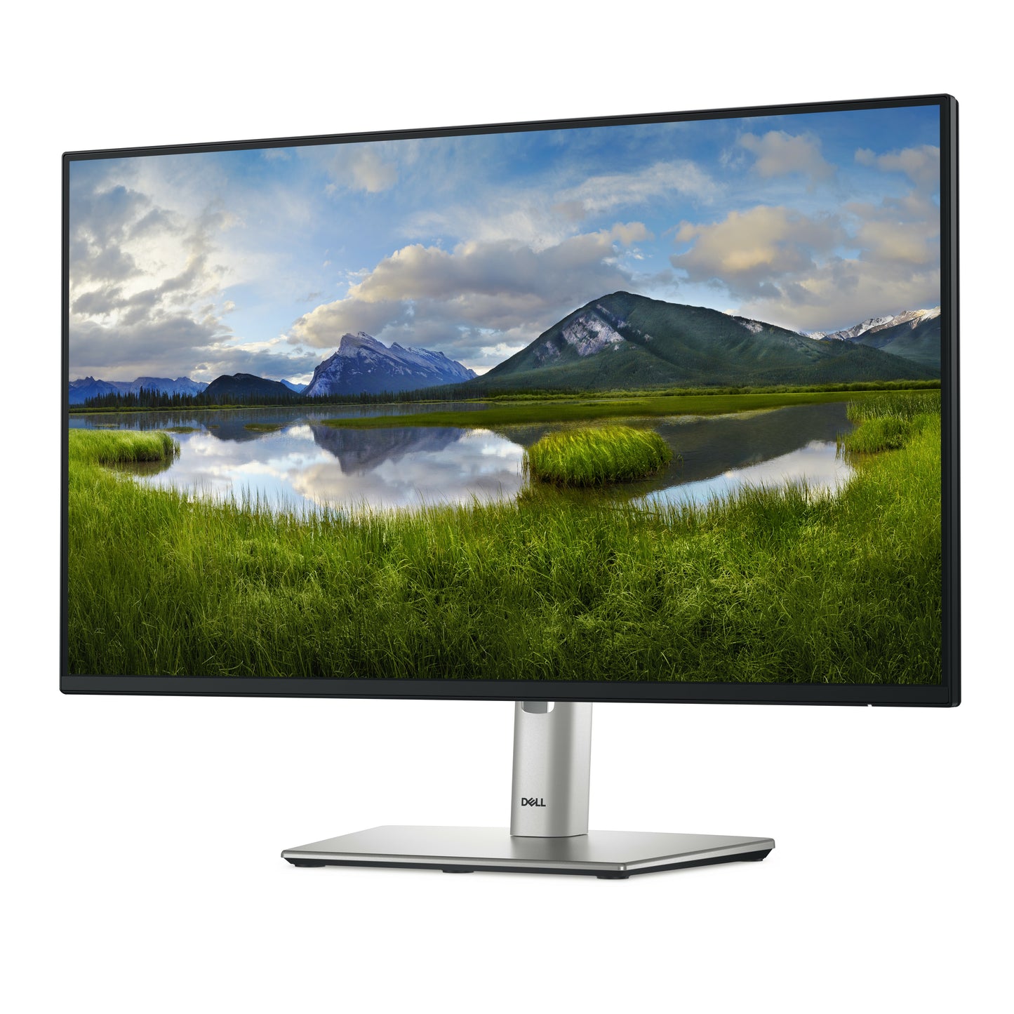 Monitores DELL P2425HE