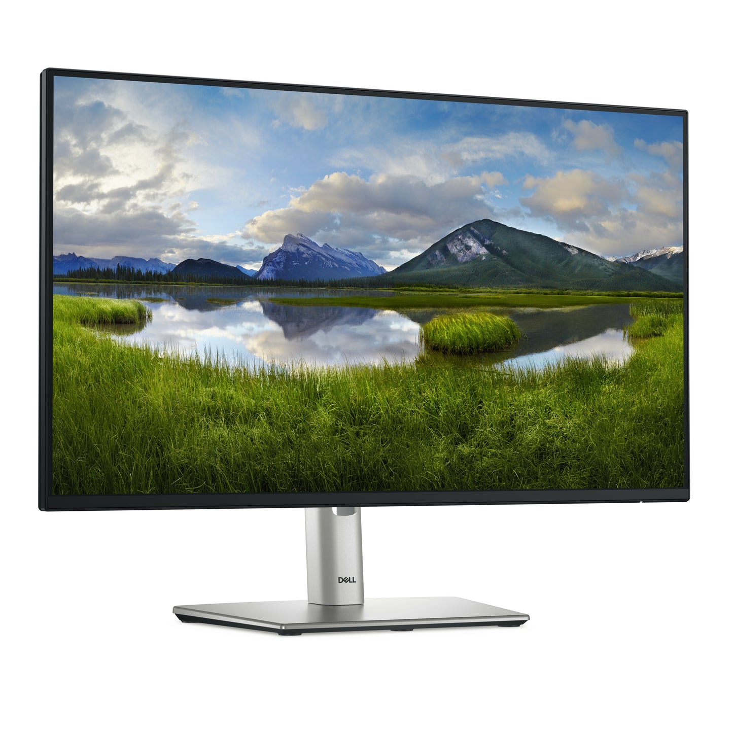 Monitores DELL P2425HE