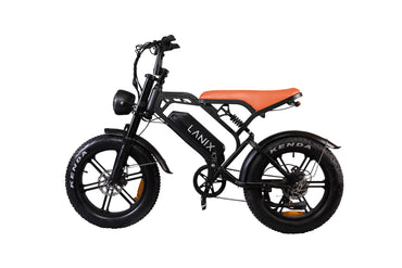 Patinetas LANIX 15160
