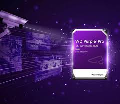 Disco Duro Interno WESTERN DIGITAL WD101PURP