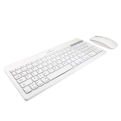 Kit para Teclado y Mouse PERFECT CHOICE PC-201380