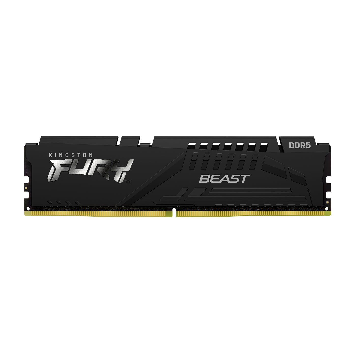Memoria  Kingston Technology FURY BEAST