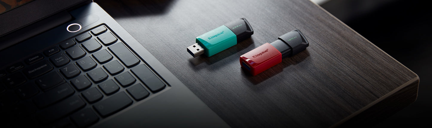Memoria USB  Kingston Technology DATATRAVELER EXODIA M