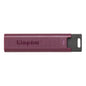 Memoria USB Kingston Technology DATATRAVELER MAX-A