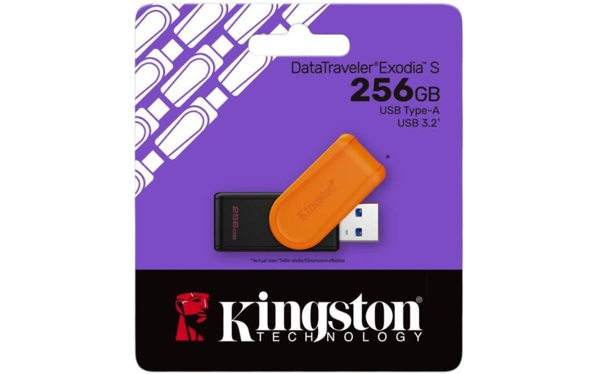 Memorias USB Kingston Technology DTXS/256GB