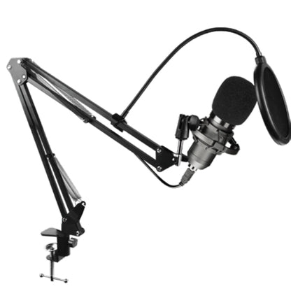 Micrófono Condensador Unidireccional Balam Rush BR-932967