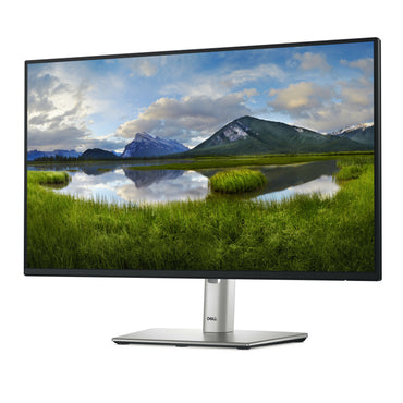 Monitores DELL P2425HE