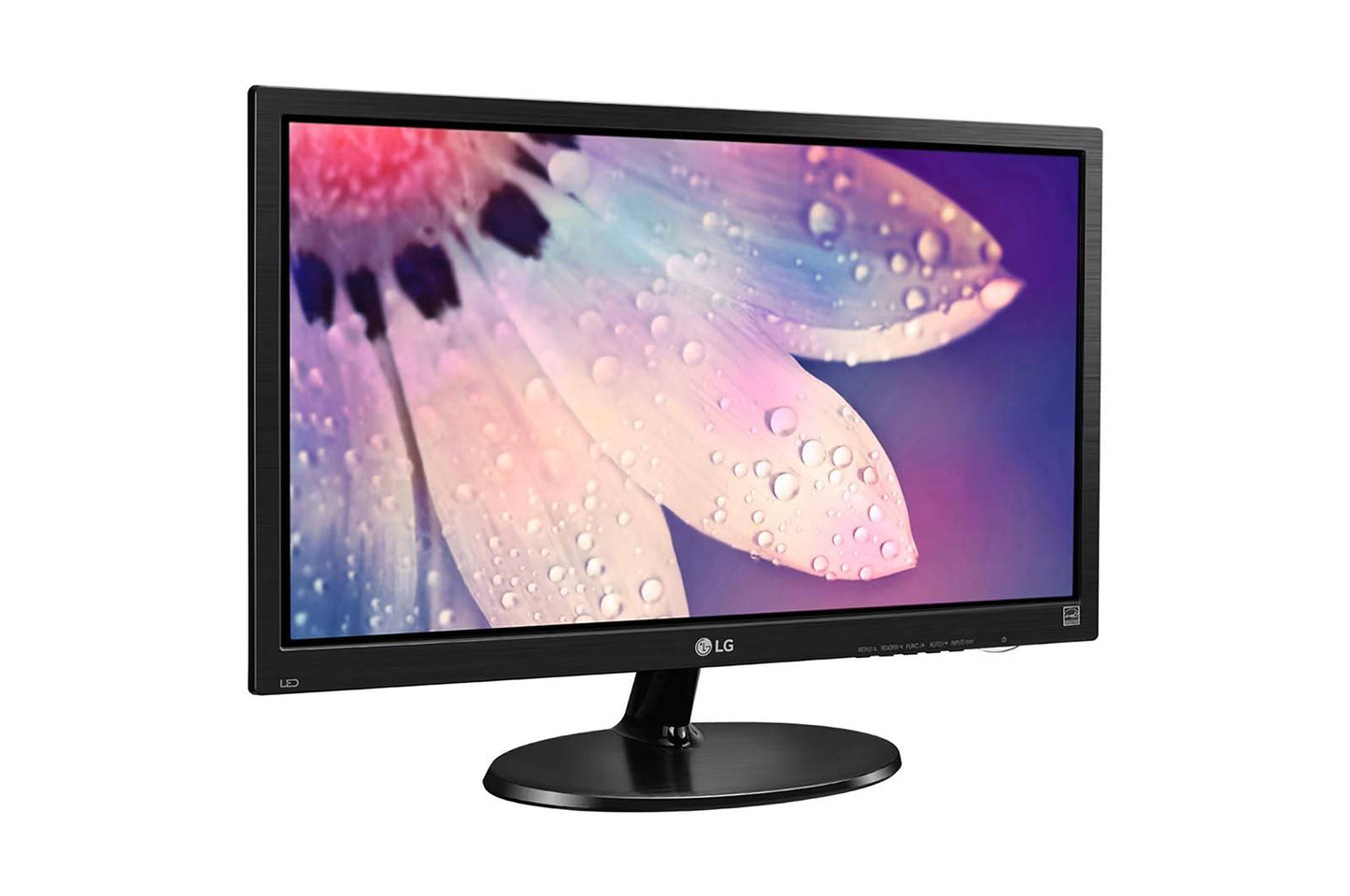 Monitor LG 19M38L-B.AWM