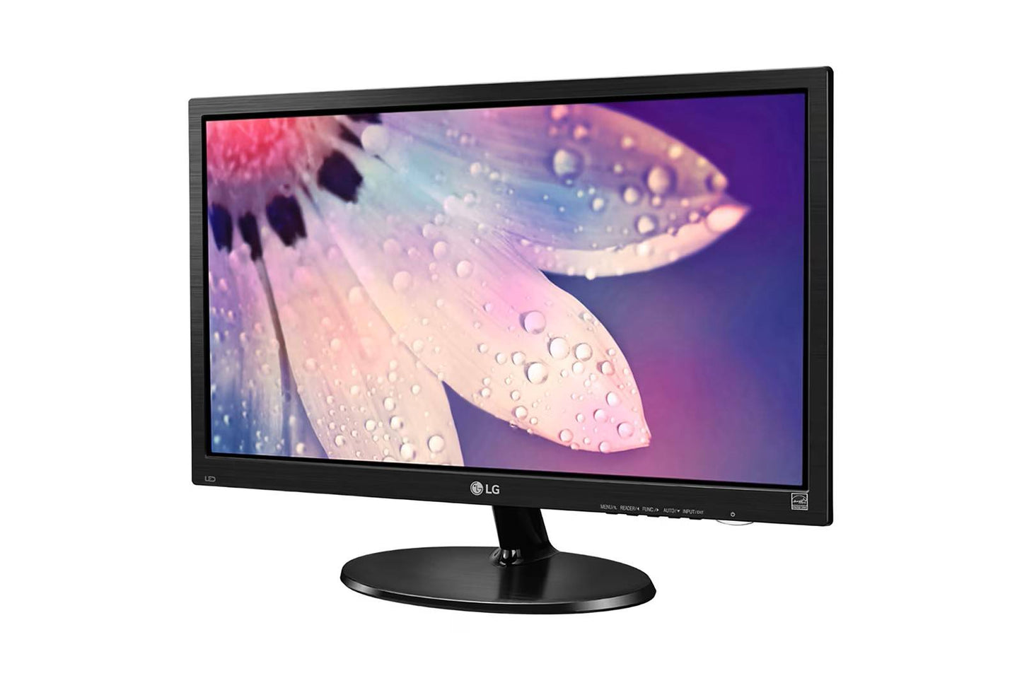 Monitores LG 19M38L-B.AWM