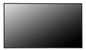 Monitor Profesional LG 43UM5N