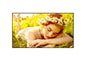 Monitor Profesional LG 75UL3Q