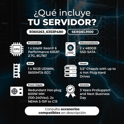 Servidor DELL R360263_6353P480