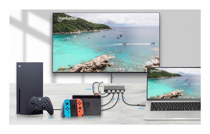 Switch MANHATTAN 208222