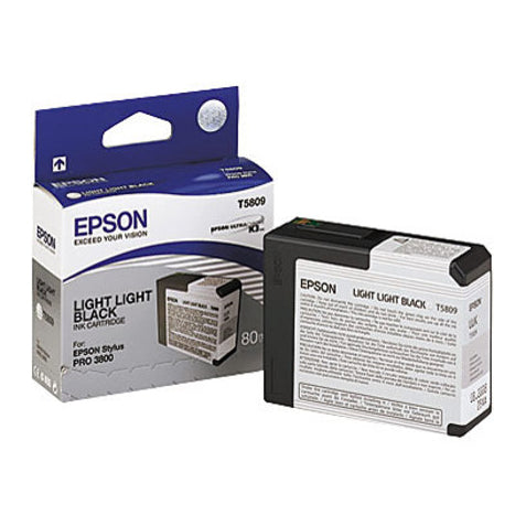 Cartucho EPSON T580900
