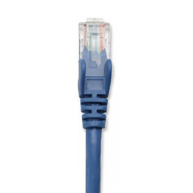 Cable de Red INTELLINET 319829